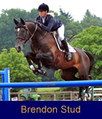 Welcome to Brendon Stud